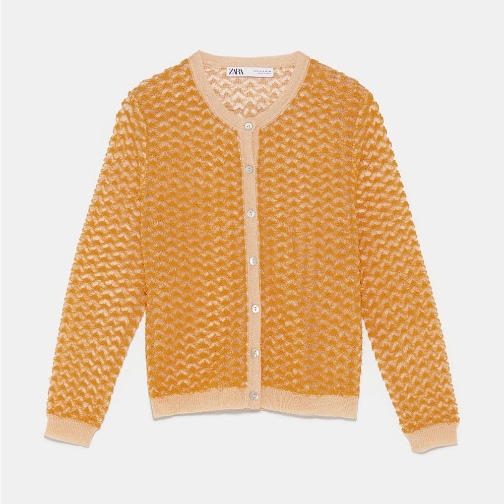 Zara Cardigan